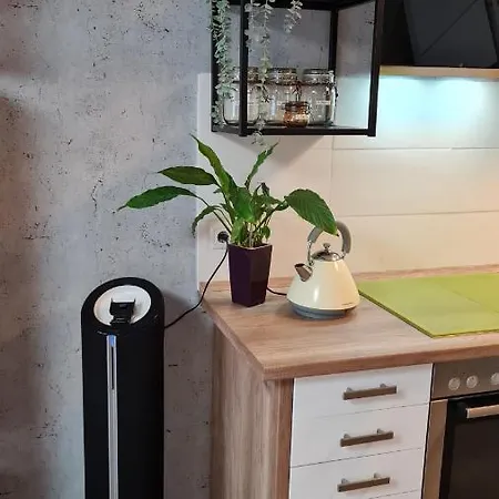Spessartlounge Apartment Mombris